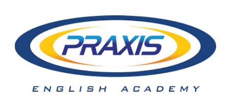 logo-carrusel-praxis-micopacredito